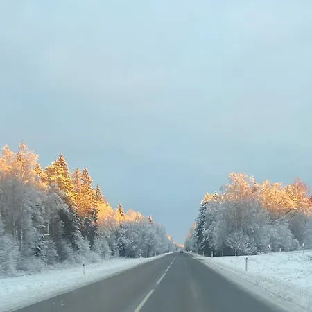 Rannapungerja *