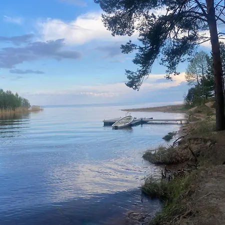 Rannapungerja *