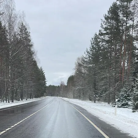 Rannapungerja